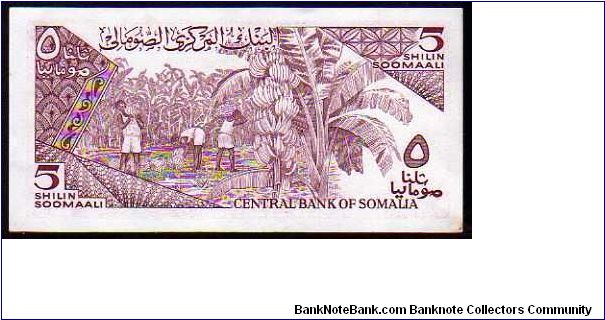 Banknote from Somalia year 1987