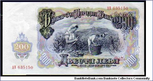 Banknote from Bulgaria year 1951