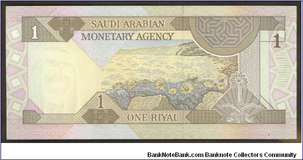 Banknote from Saudi Arabia year 1984