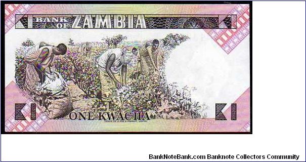 Banknote from Zambia year 1980