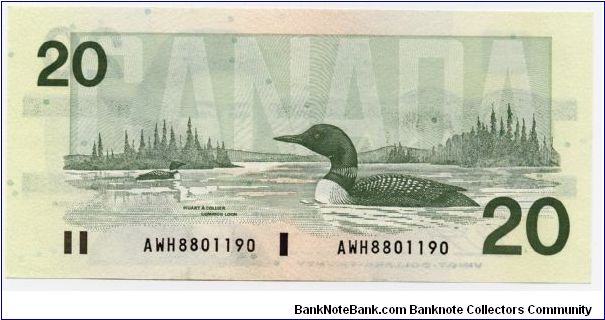 Banknote from Canada year 1991