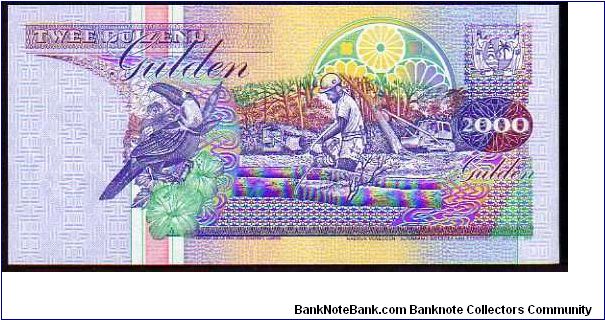 Banknote from Suriname year 1995