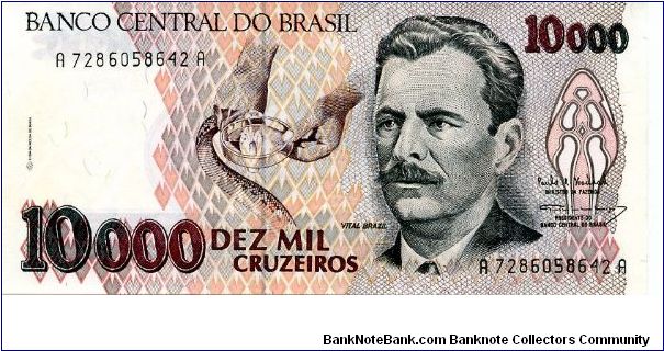 10,000 Cruzados
Brown/Pink/Green
Extracting poisonous venom, V Brazil, Head of a snake
Hut's & Snakes 
Security thread
Watermark Banknote