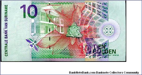 Banknote from Suriname year 2000