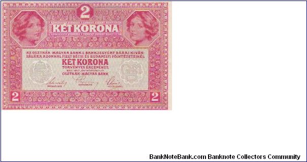 Banknote from Austria year 1917