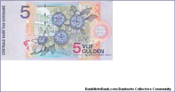 Banknote from Suriname year 2000
