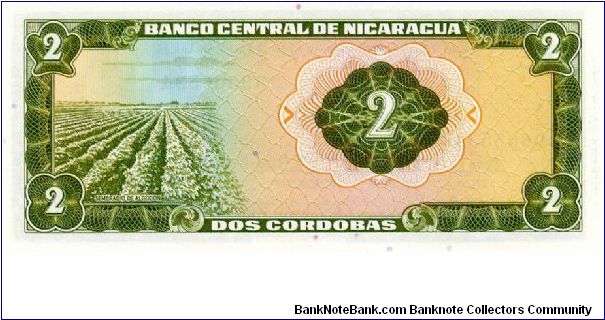 Banknote from Nicaragua year 1972