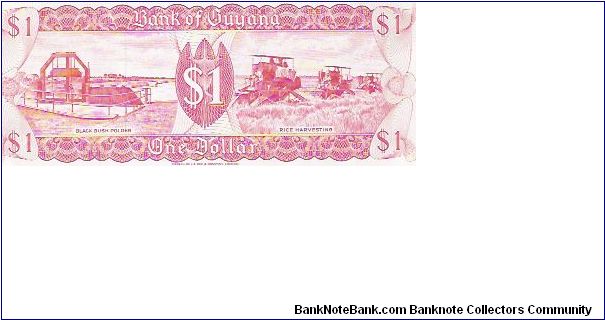 Banknote from Guyana year 1989