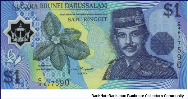 I Ringgit' Sultan on front;  Waterfall on back Banknote