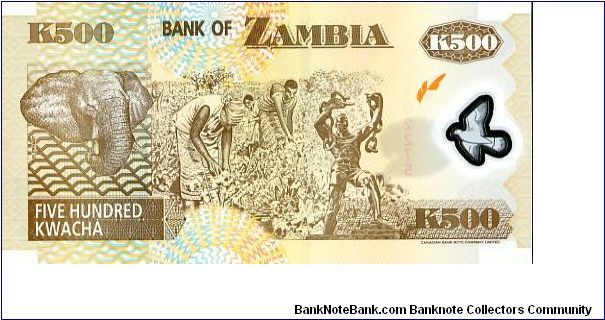 Banknote from Zambia year 2006