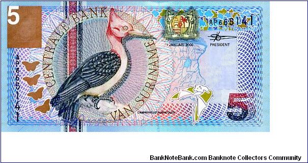5 Gulden
Multi
Red Woodpecker & Coat of Arms, Bat
Bat & Passionflower
Security thread
Wmk Bank building
De La Rue Banknote