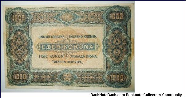 Banknote from Hungary year 1920