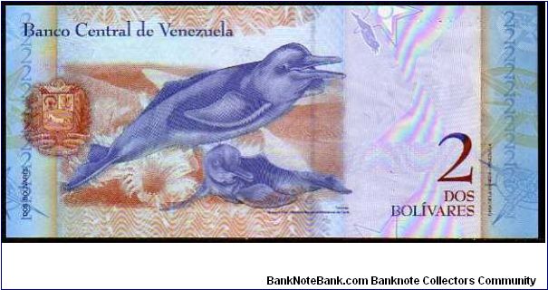 Banknote from Venezuela year 2007