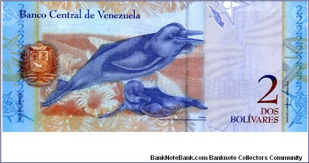 Banknote from Venezuela year 2007