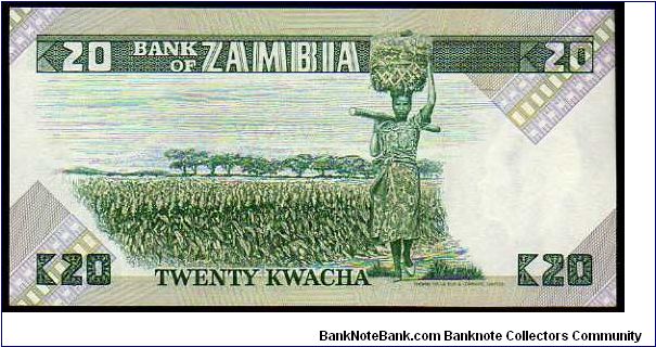 Banknote from Zambia year 1980