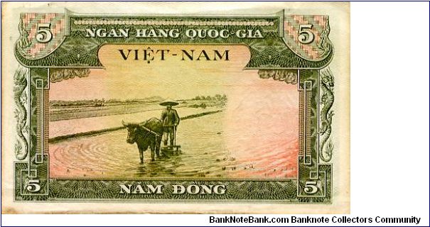 Banknote from Vietnam year 1955