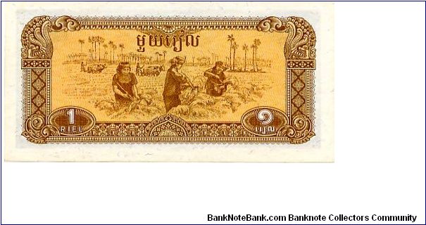 Kampuchea

1 riel 
Brown/Green
Women harvesting rice 
Coat of arms Banknote