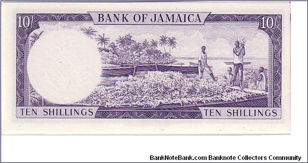 Banknote from Jamaica year 1960