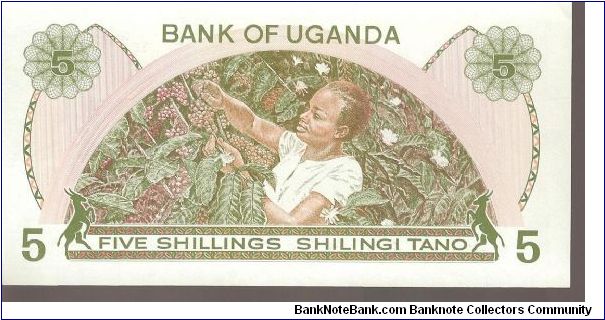 Banknote from Uganda year 1982