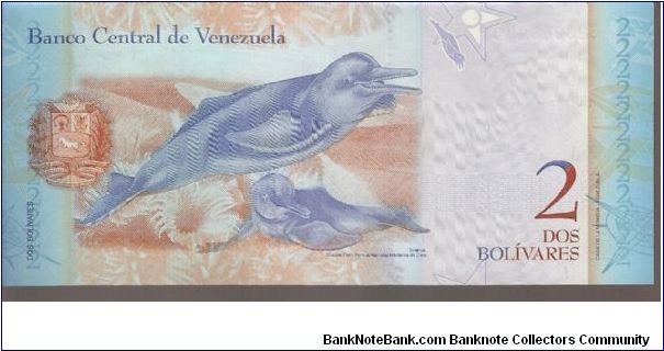 Banknote from Venezuela year 2007