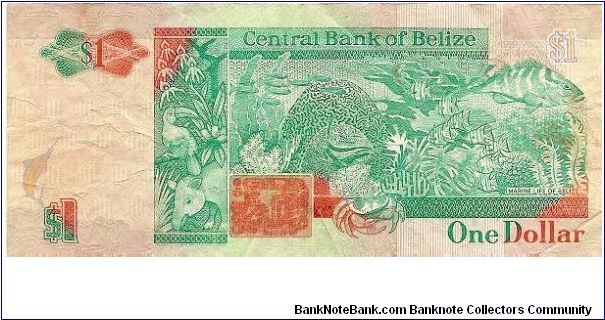 Banknote from Belize year 1990