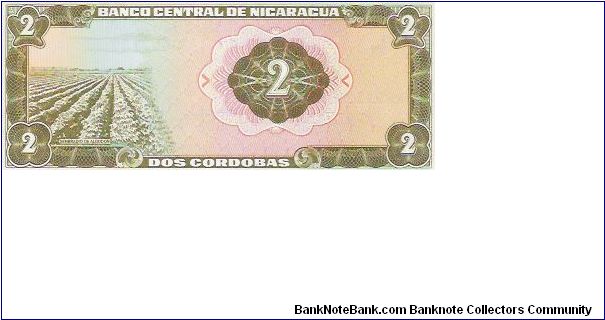 Banknote from Nicaragua year 1972