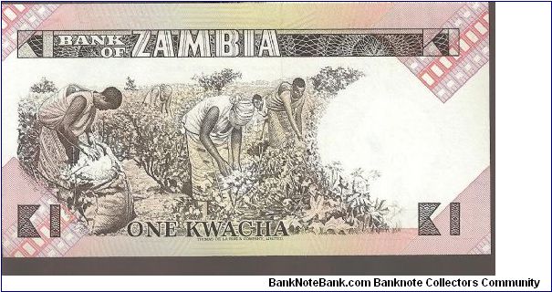 Banknote from Zambia year 1988