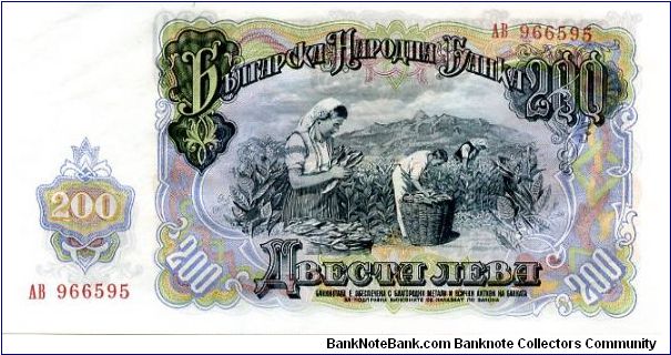 Banknote from Bulgaria year 1951