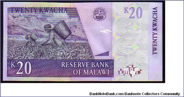 Banknote from Malawi year 2004