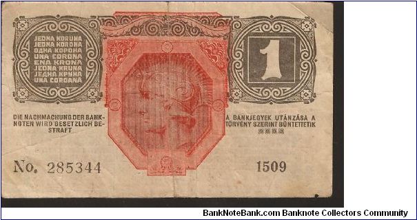 Banknote from Austria year 1919