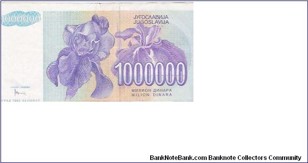 Banknote from Yugoslavia year 1993