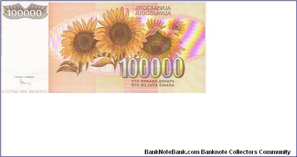 Banknote from Yugoslavia year 1993