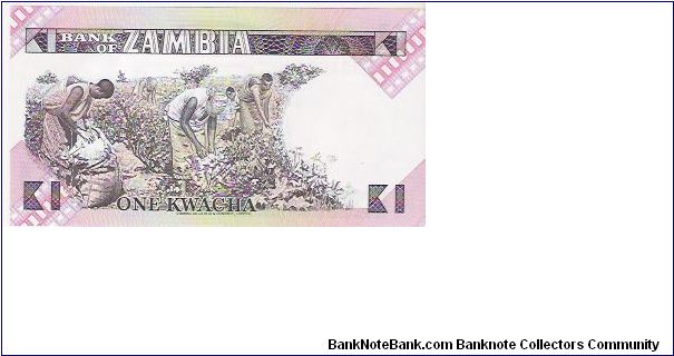 Banknote from Zambia year 1986