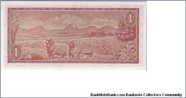 Banknote from South Africa year 1966