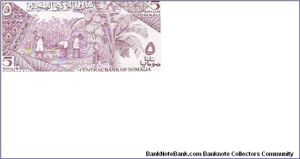 Banknote from Somalia year 1987