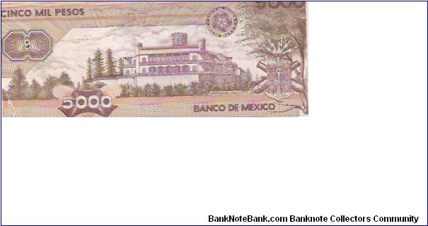 Banknote from Mexico year 1989