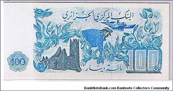 Banknote from Algeria year 1981