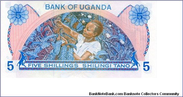 Banknote from Uganda year 1979