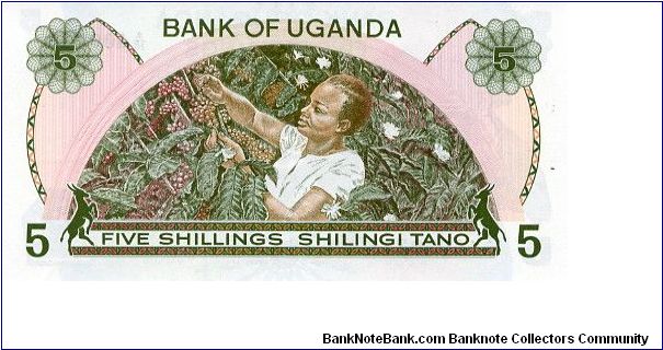 Banknote from Uganda year 1982