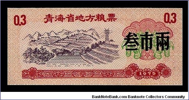 China 0.3 ration talon coupon dated 1975. P-NL. 75mm x 33mm. Banknote