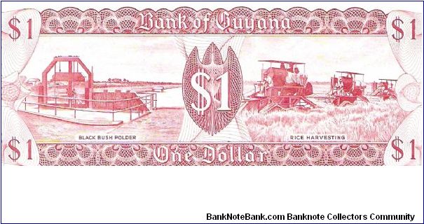 Banknote from Guyana year 1992