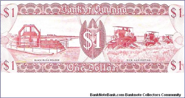 Banknote from Guyana year 1992