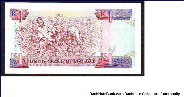 Banknote from Malawi year 1992