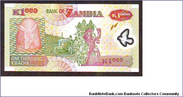 Banknote from Zambia year 2008