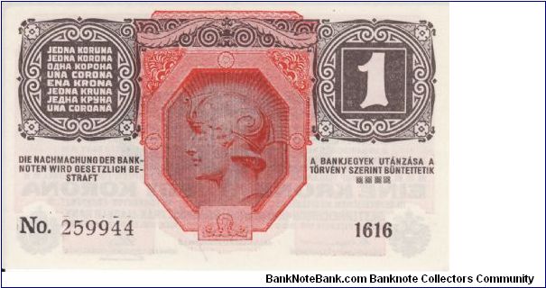 Banknote from Austria year 1919