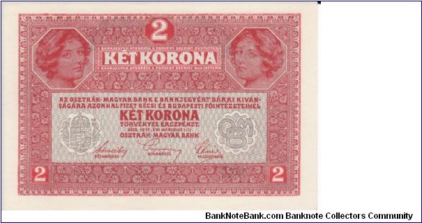 Banknote from Austria year 1919