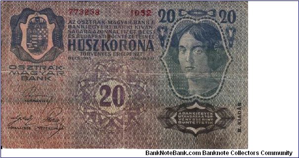 Banknote from Austria year 1919