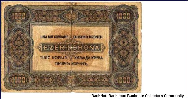 Banknote from Hungary year 1920