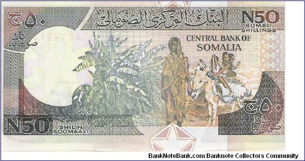 Banknote from Somalia year 1991