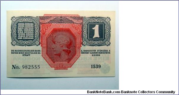 Banknote from Austria year 1919